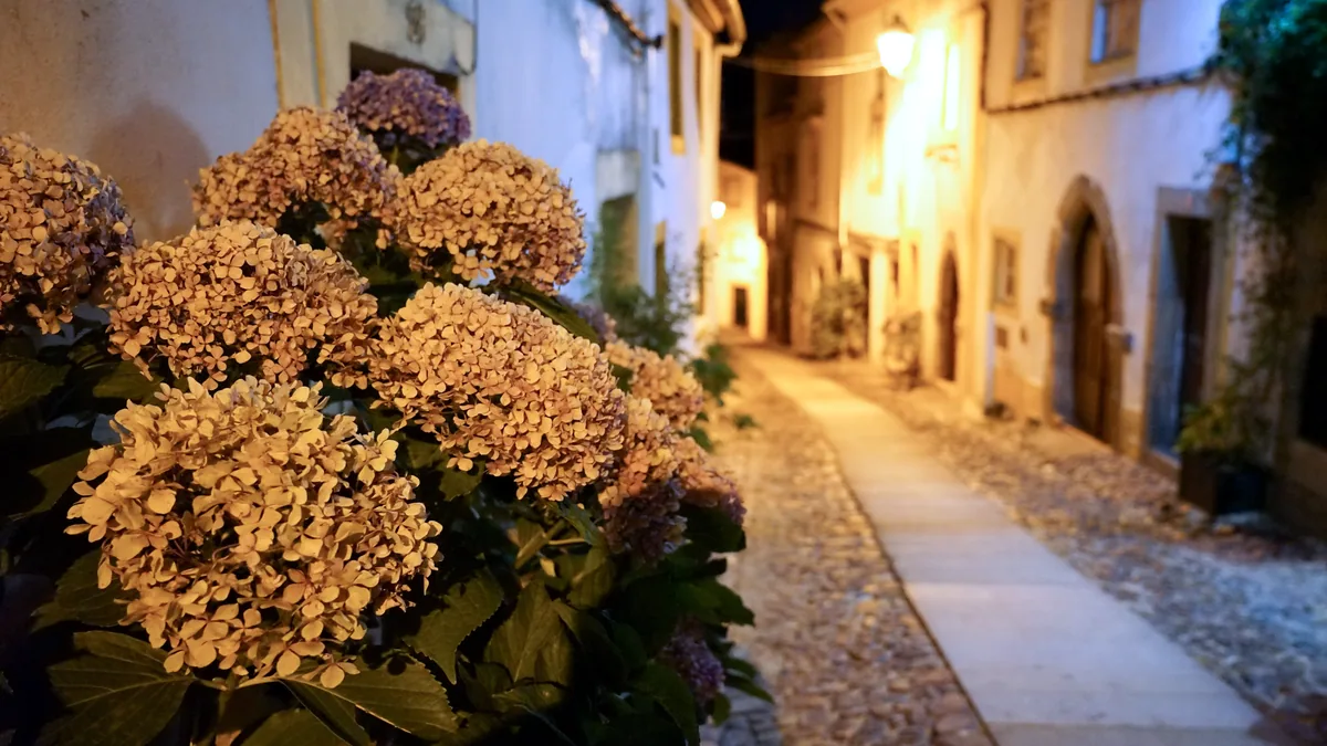 Plaza de un pueblo canario en luz dorada de atardecer, con casas de piedra y un muro de cal blanca.