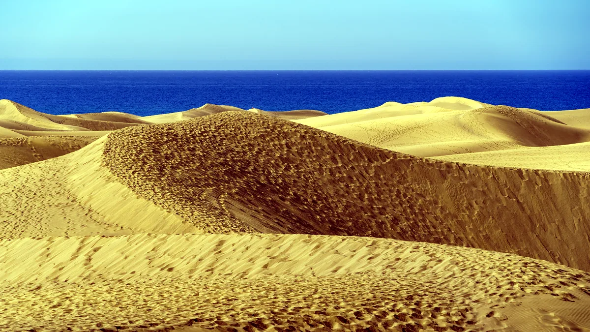 Costa de arena dorada en una isla canaria, con las olas rompiendo y el cielo nublado de la manana.